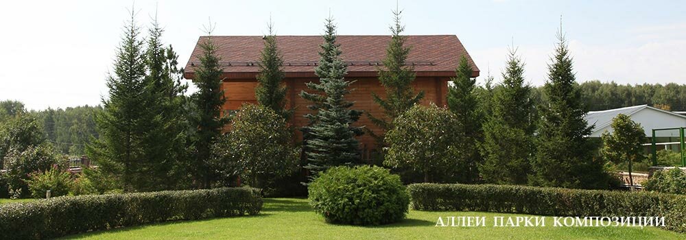 Аллеи парки сады