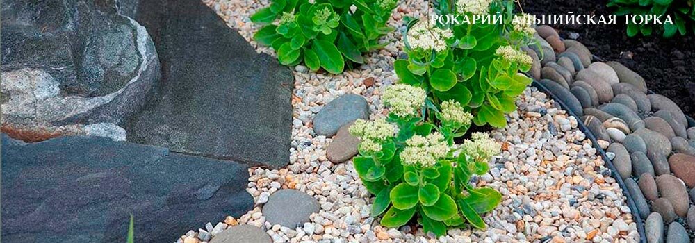 Альпийская горка рокарий