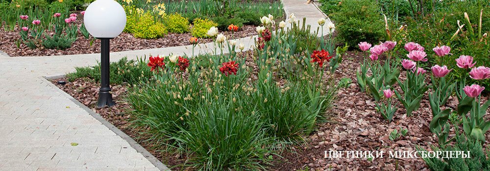 Цветники, миксбордеры