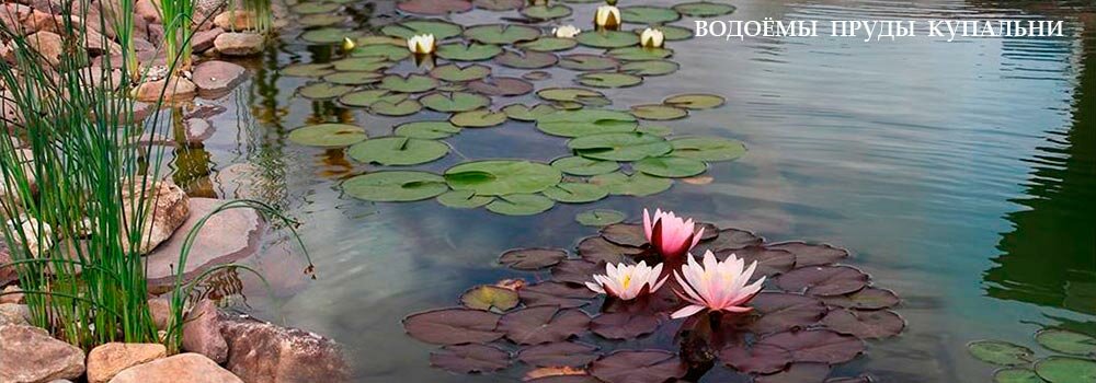 Водоёмы пруды купальни