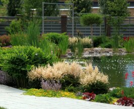 Цветник на прибрежной зоне