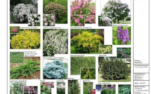 Челябинск. Проект ландшафтного благоустройства