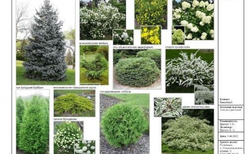 Челябинск. Проект ландшафтного благоустройства