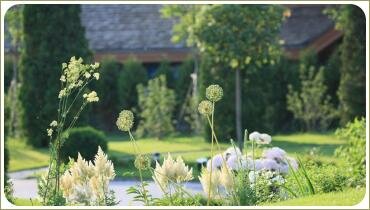 Цветник с белыми растениями