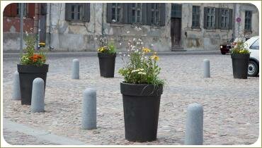 Кашпо: газания и злаки на площади