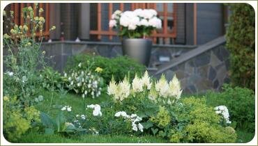 Белые растения в саду