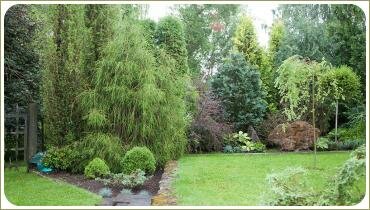 Декорации для сада