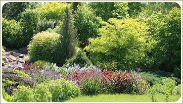 Миксбордер в саду