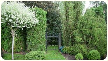 Сад с мужским характером