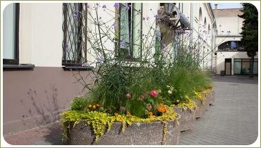 Кашпо из камня: вербейник, злаки, тагетас