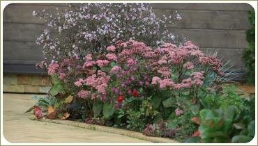 Цветник с нотками ностальгии