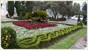 Яркий разноцветный цветник с геометрическим орнаметом