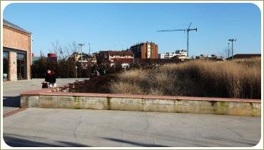 Большой массив злаков и каменное ограждение