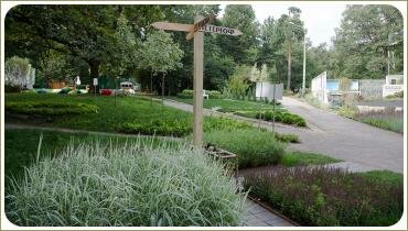 Пограничный столб и цветники