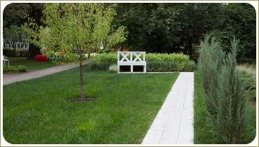 Чёткие линии сада