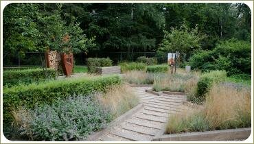 Пушистые злаковые травы и кустарники в саду