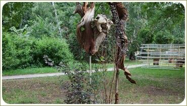 Скульптура из древесины 