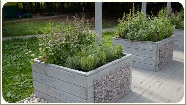 Светлые деревянные контейнеры и травы