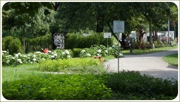 Уголок парка с садами