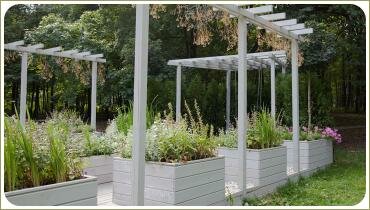 Белая прегола и травы в контейнерах