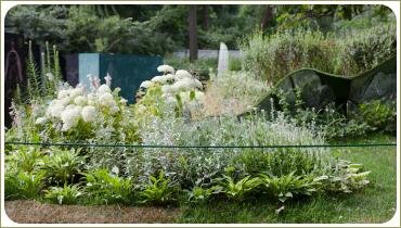 Цветник с белыми растениями и серебристыми цветами