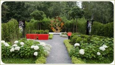 Изгородь из кустарника с белыми цветами