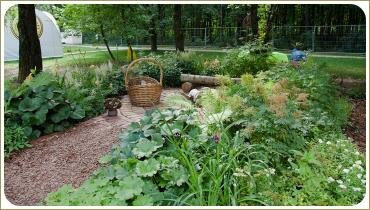 Корзина и лесные цветники 