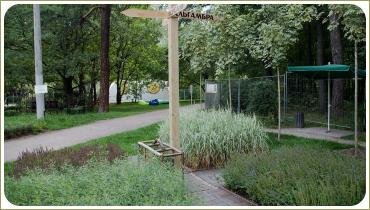 Столб указатель с городами и злаковые цветники