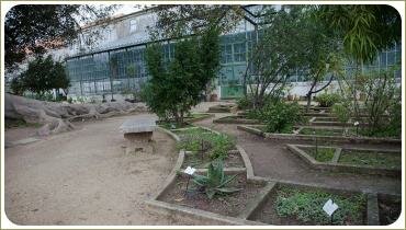 Грядки разных размеров и конфигураций