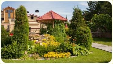 Аккуратные растения. Фигурная стрижка растений в Челябинске Хвойные растения на фоне альпийской горки