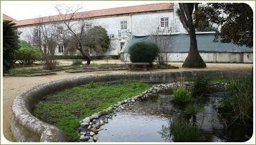 Пруд с фигурным бортом. Jardim Botnico da Ajuda