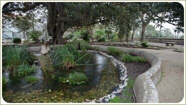 Красивый пруд с водными растениями