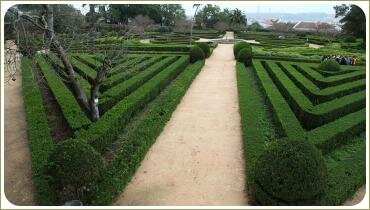 Бордюры стриженные в треугольники