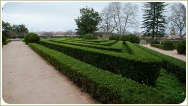 Стриженные кустарники в несколько ярусов