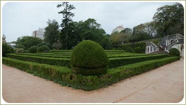 Фигурные стрижки растений в саду