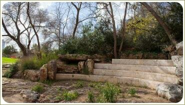 Полукруглый подиум со ступенями и растения