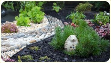 Сосна горная и скульптура ёжик