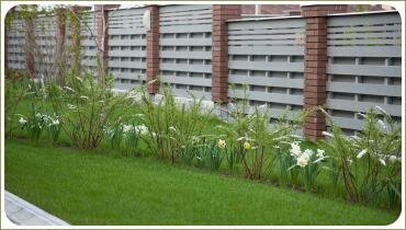 Бордюр из цветущего кустарника