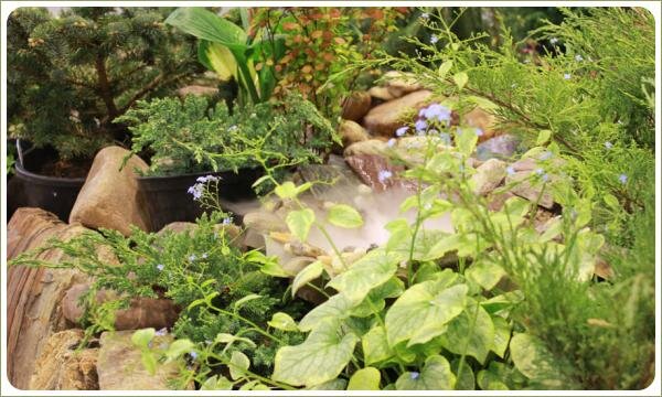 Искусственный туман - декорация для пруда