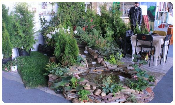 Водный объект - участие в выставке