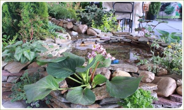 Камни для борта пруда и декоративные растения