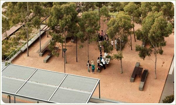 Большая площадка под кронами штамбовых деревьев и столы со скамейками и навес