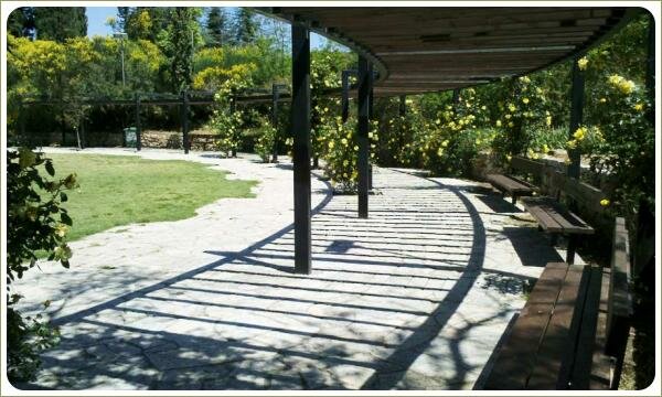 Под прозрачной крышей лёгкого строения увитого кустами жёлтых роз и площадка и лужайка