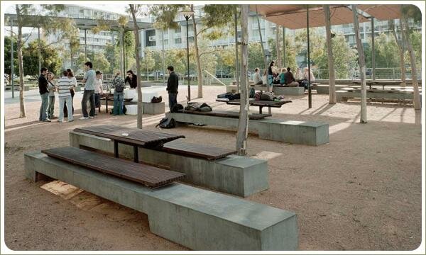 Скамейки с основанием из бетона в виде прямоугольника и сиденья из деревянной решётки и столы как сиденья на фоне деревьев и площадки