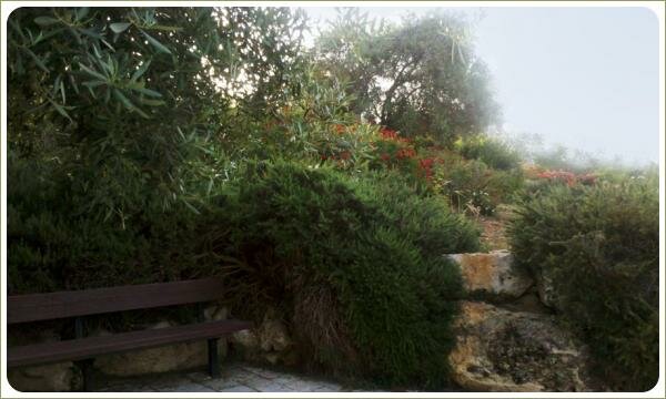 Скамейка на площадке в укромном уголке сада среди разросшихся растений