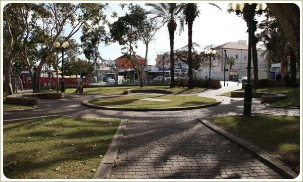 Газон в виде круга и мощеные дорожки на фоне деревьев