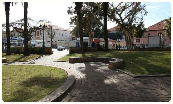 Подпорная стенка из светлого камня в виде полукруга и круг в центре композиции и дорожки из камня и деревья