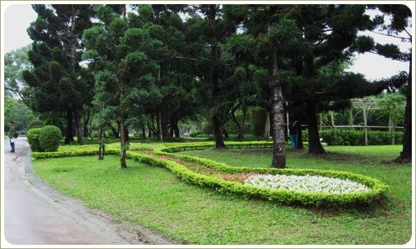 Цветник между деревьев. Парк Да-ань. Тайбей Партерный цветник между стволов деревьев на лужайке