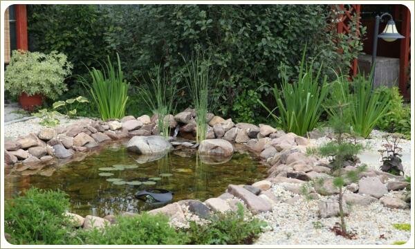 Водоём из всетлой гальки и растения и водный источник в береговой части и отсыпка из белого гравия
