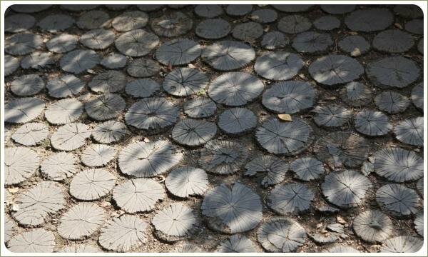 Спилы дерева в мощении. Прага Спилы дерева на площадке